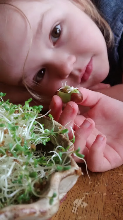 IMG_20150211_112323906