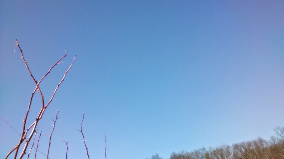 IMG_20150307_111112496