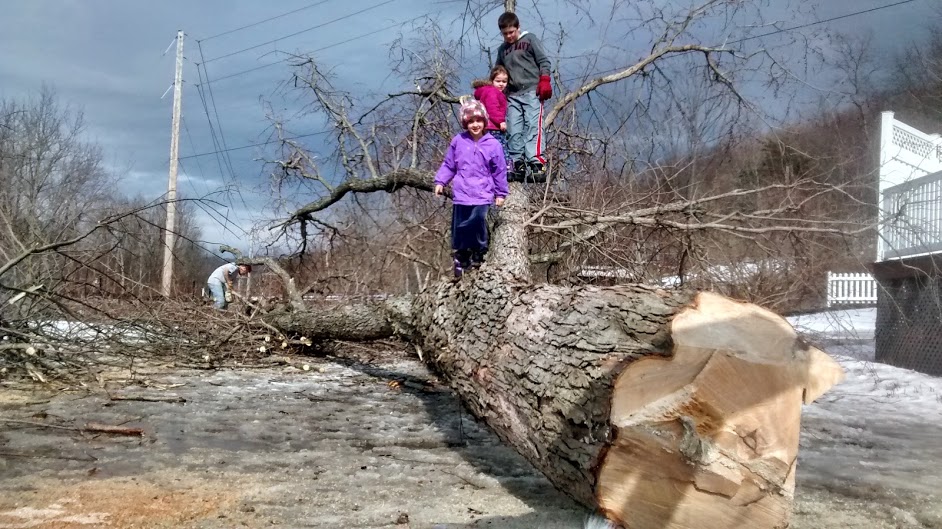 IMG_20150307_145432257_HDR