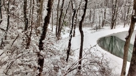 IMG_20150320_130814196_HDR