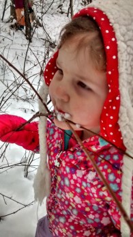 IMG_20150320_130932294_HDR