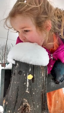 IMG_20150320_131554009_HDR