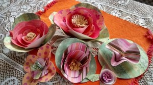 IMG_20150320_144034237_HDR