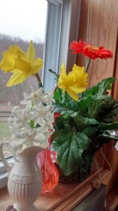 IMG_20150409_105809435_HDR