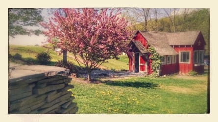 IMG_20150508_111532449-EFFECTS