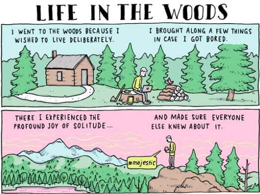 life-in-the-woods