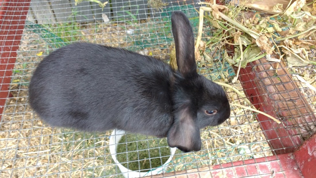 img_20160707_121701577