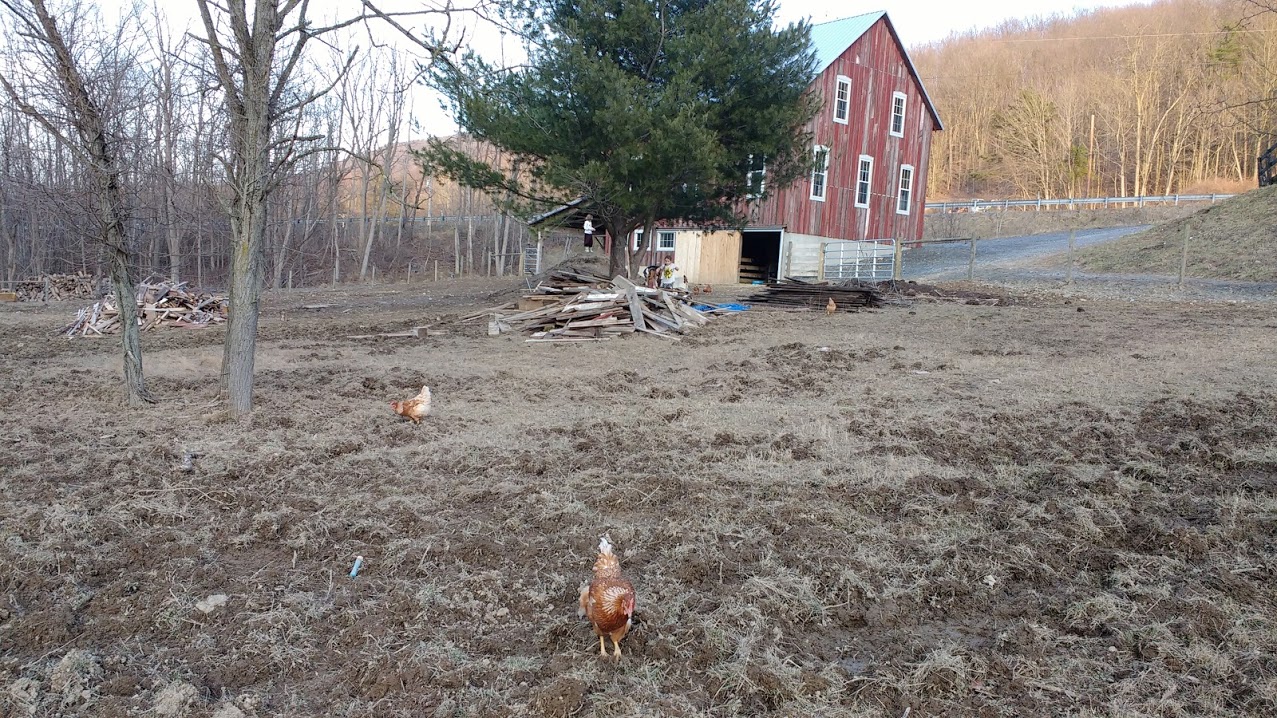 img_20170218_171241801