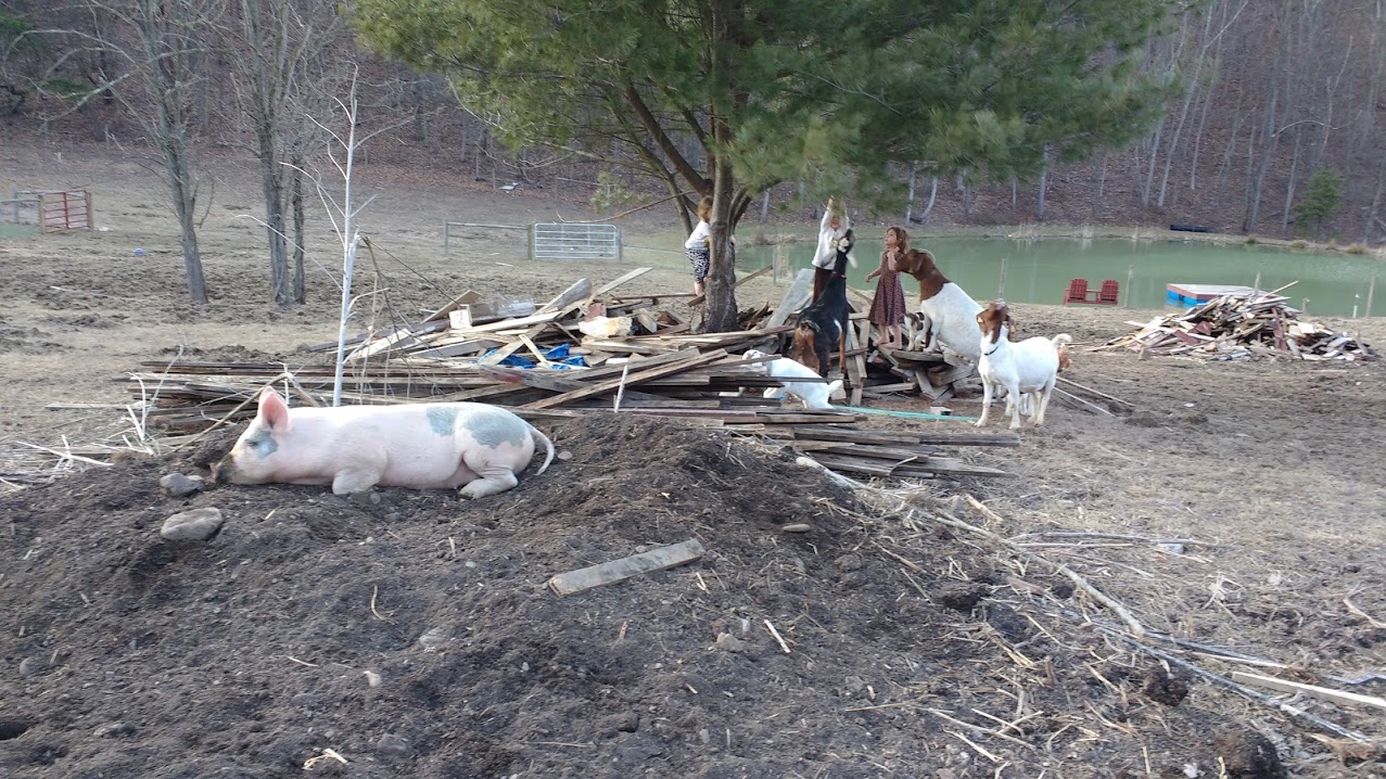 img_20170218_171717898