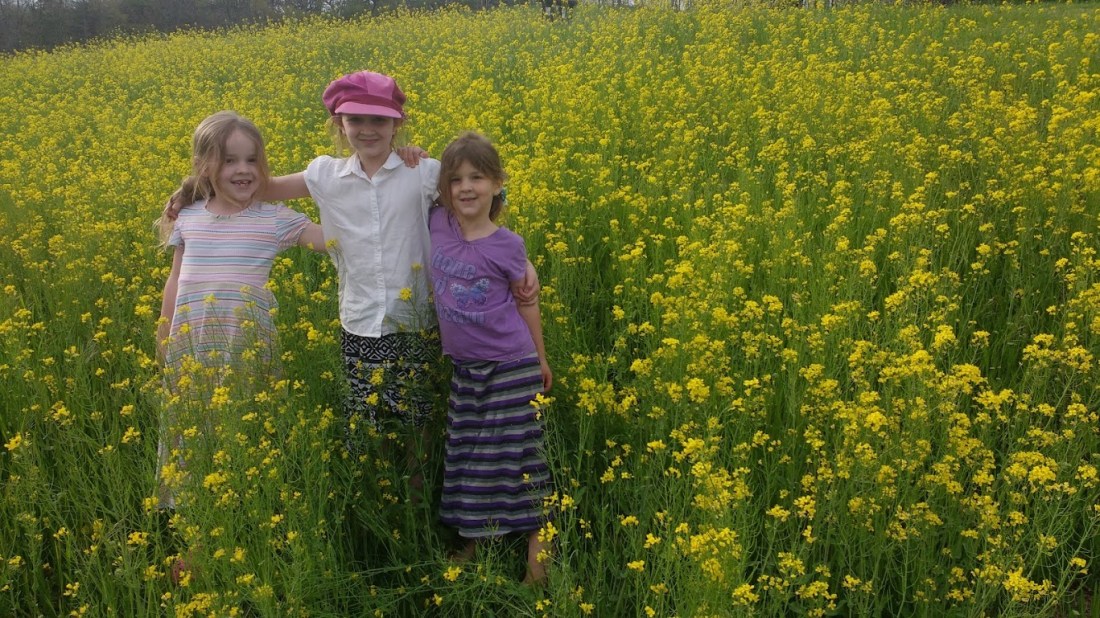 IMG_20170423_180722022