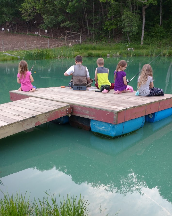 IMG_20170530_200654293