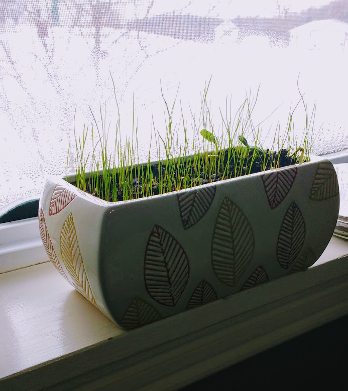 IMG_20180206_101855501