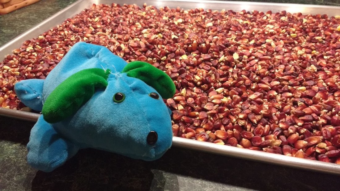 IMG_20180223_204215329