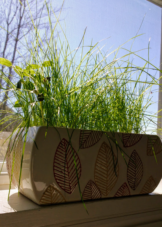 IMG_20180227_125628007