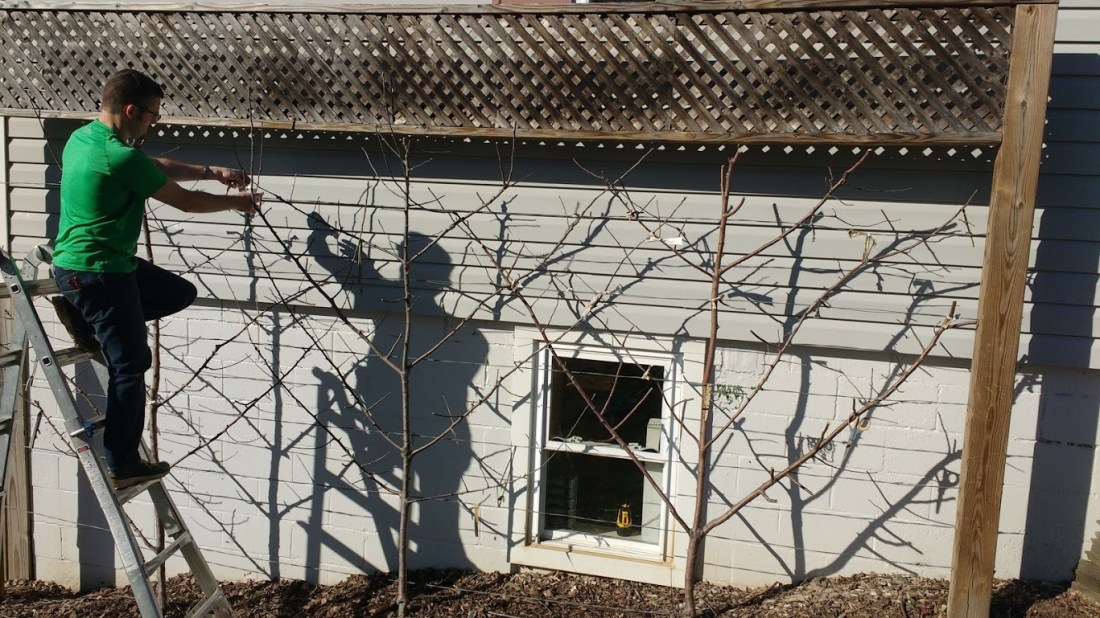 IMG_20180227_151940532