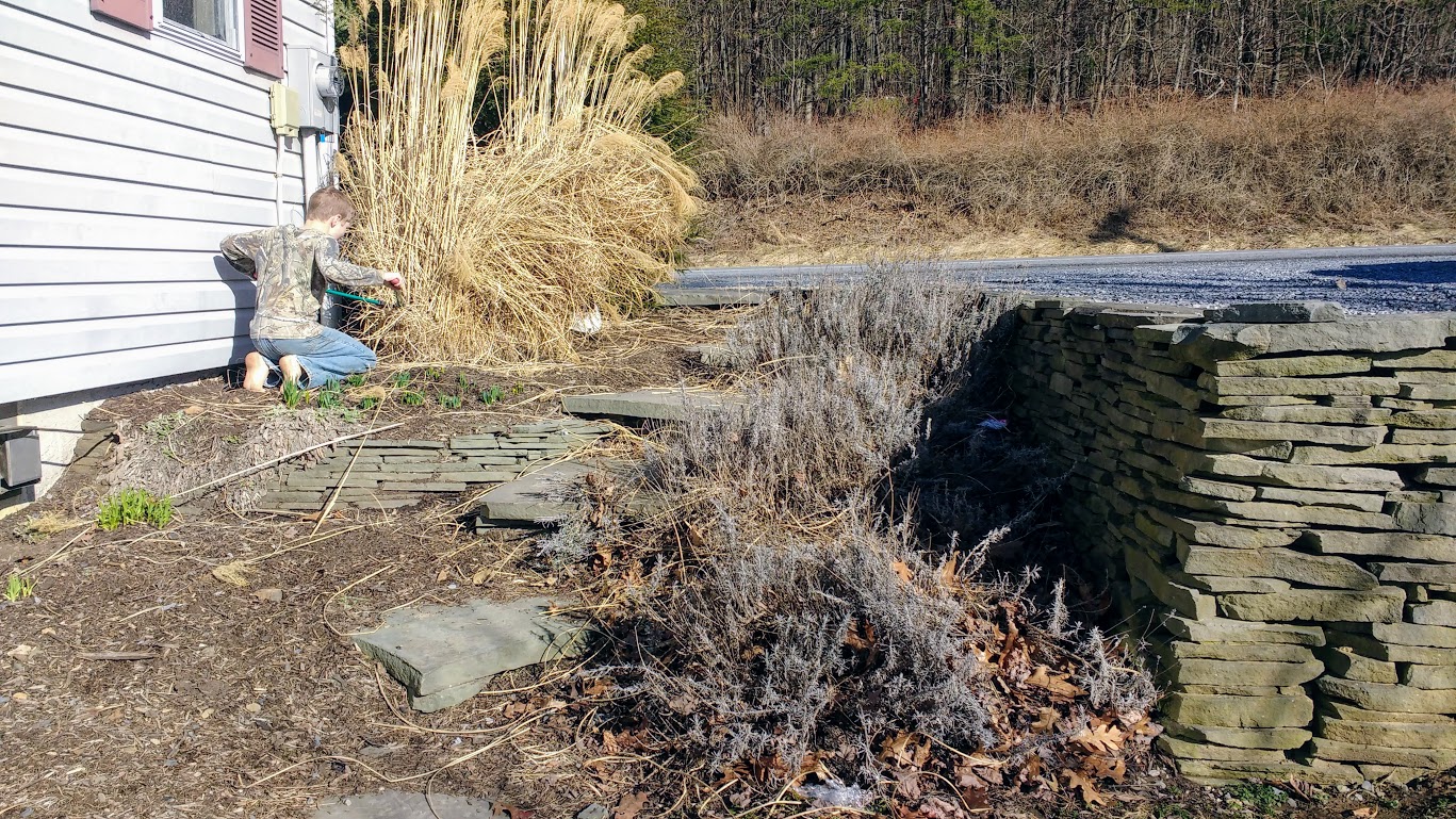 IMG_20180227_151950542