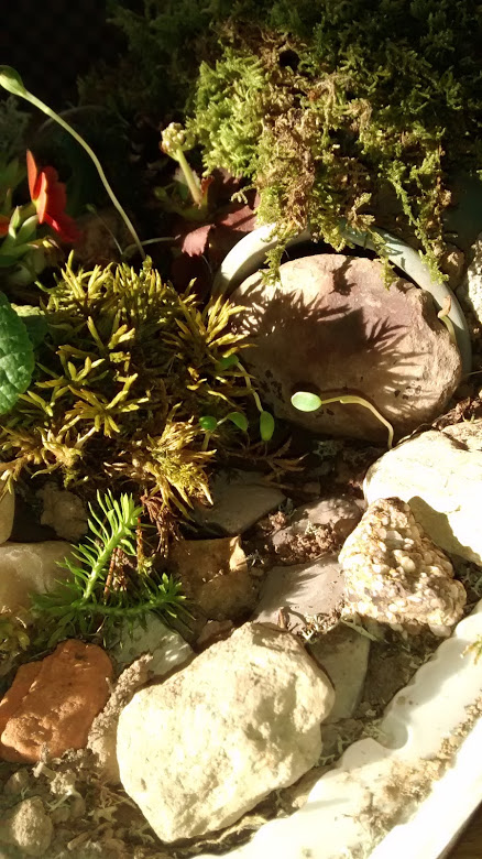 IMG_20160321_173422299