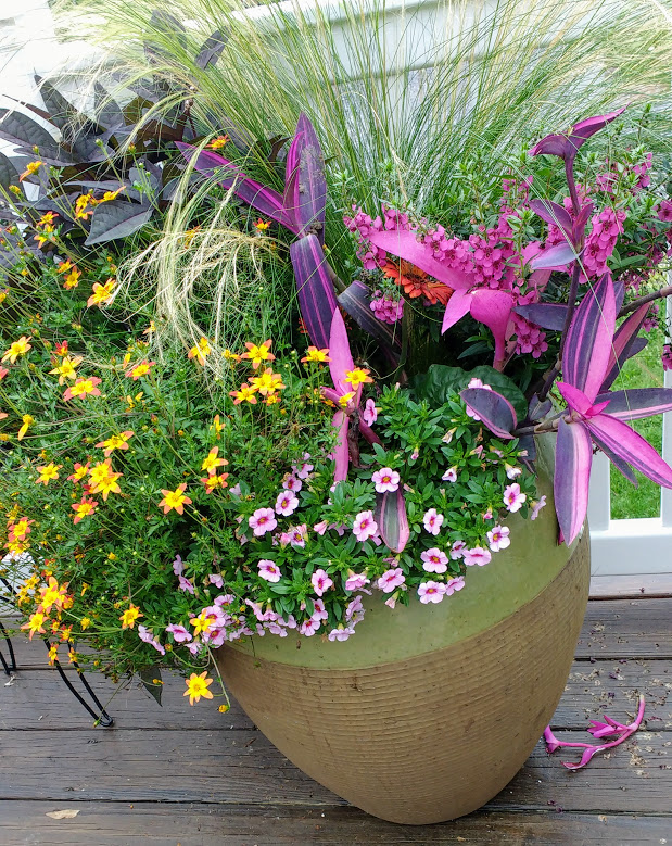 IMG_20170725_083030174