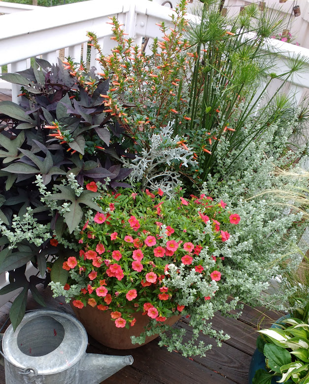 IMG_20170725_083253389