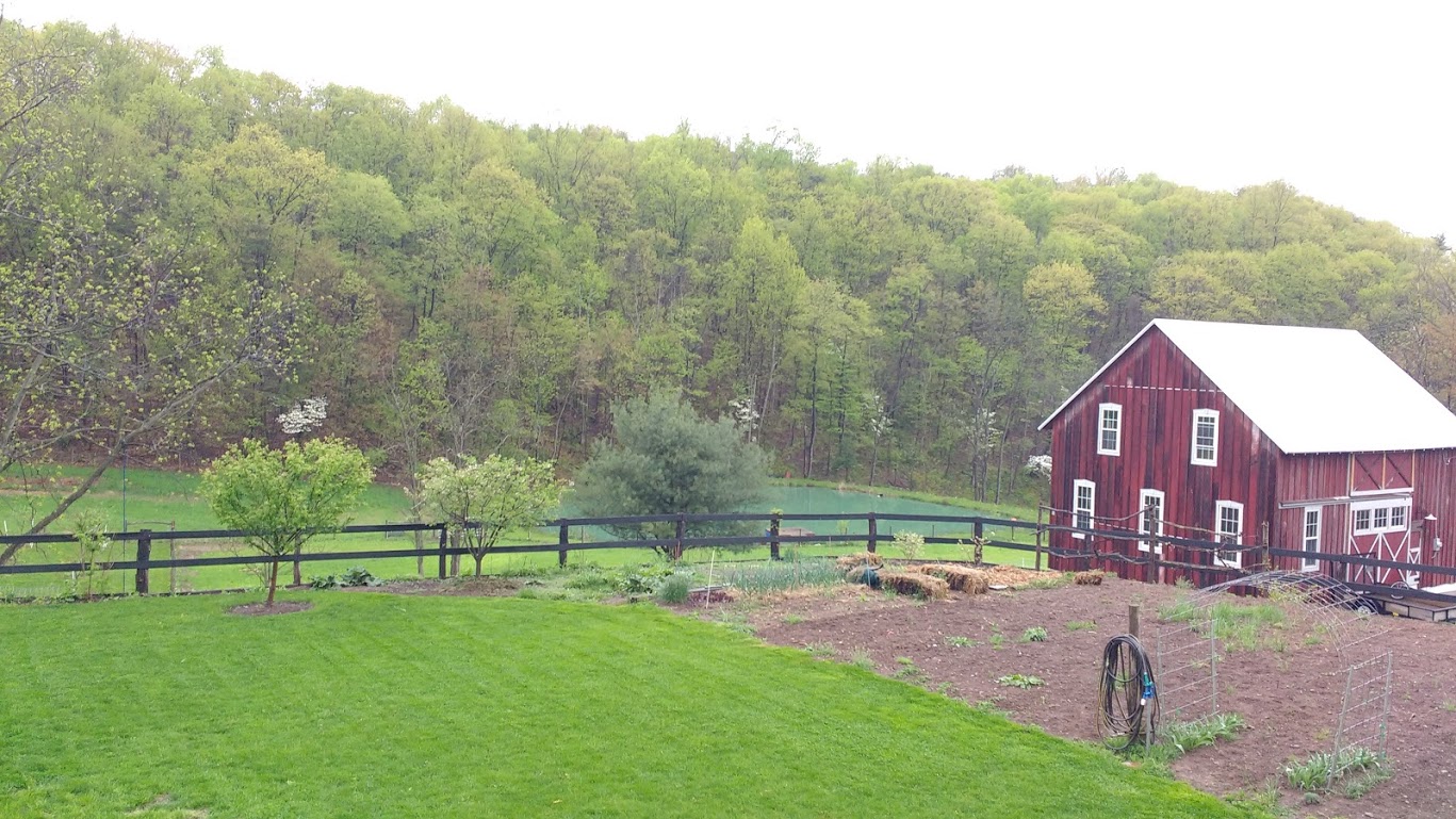 IMG_20180510_082726593