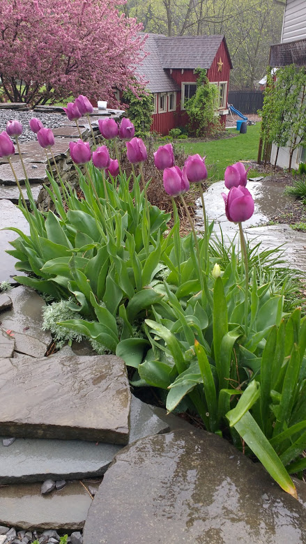 IMG_20180510_083142017