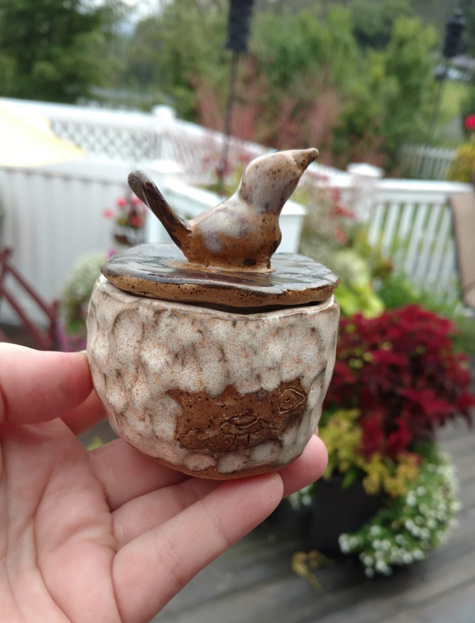 IMG_20180817_091019116