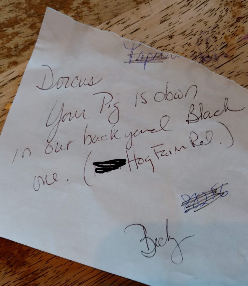 IMG_20181001_180534381