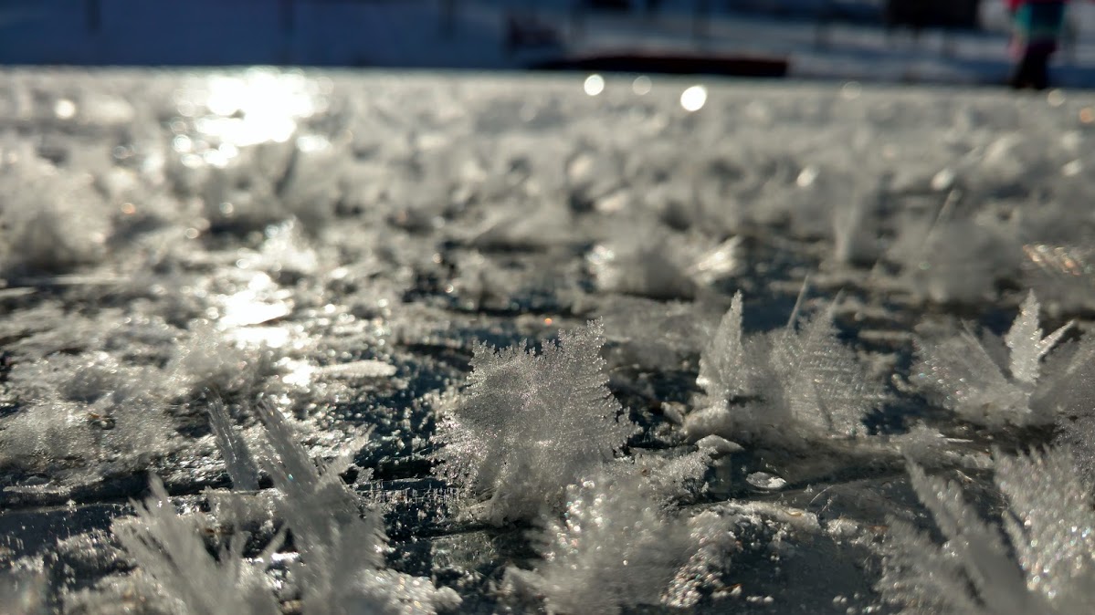 IMG_20190122_092902513_HDR