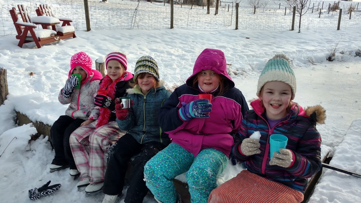 IMG_20190122_155831978_HDR