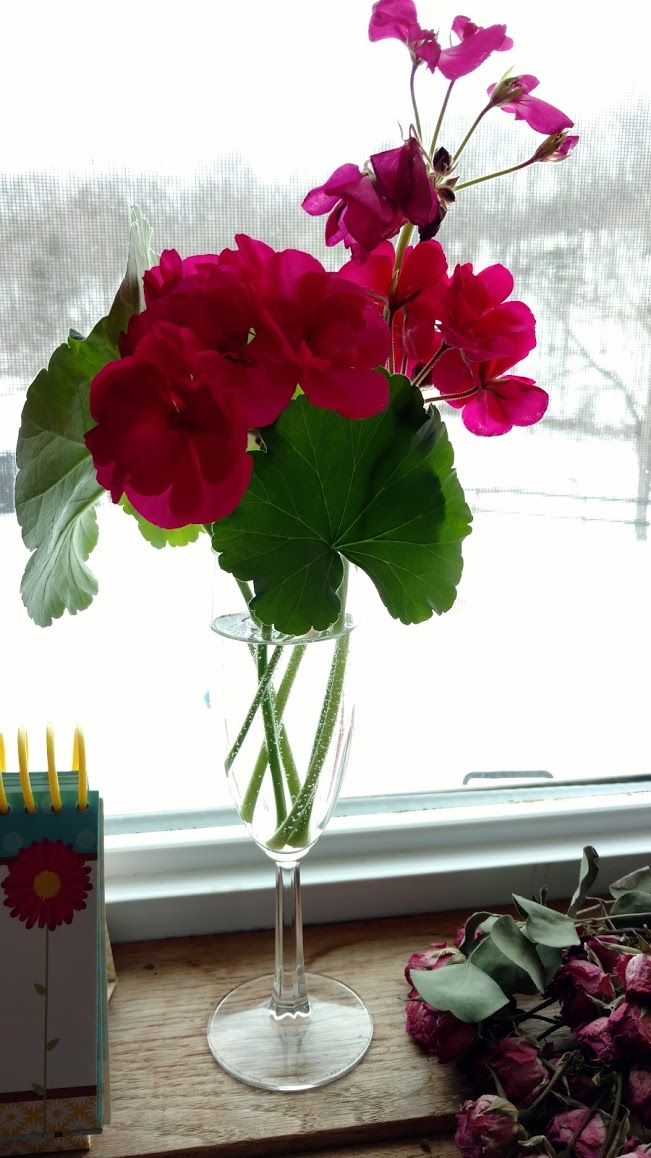 IMG_20190226_145024916