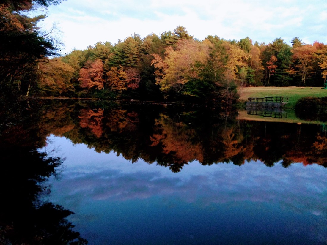 IMG_20191012_184511540