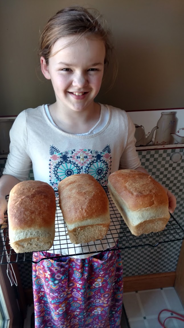 IMG_20200309_133436156_HDR