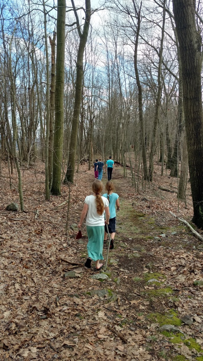 IMG_20200329_165458962_HDR