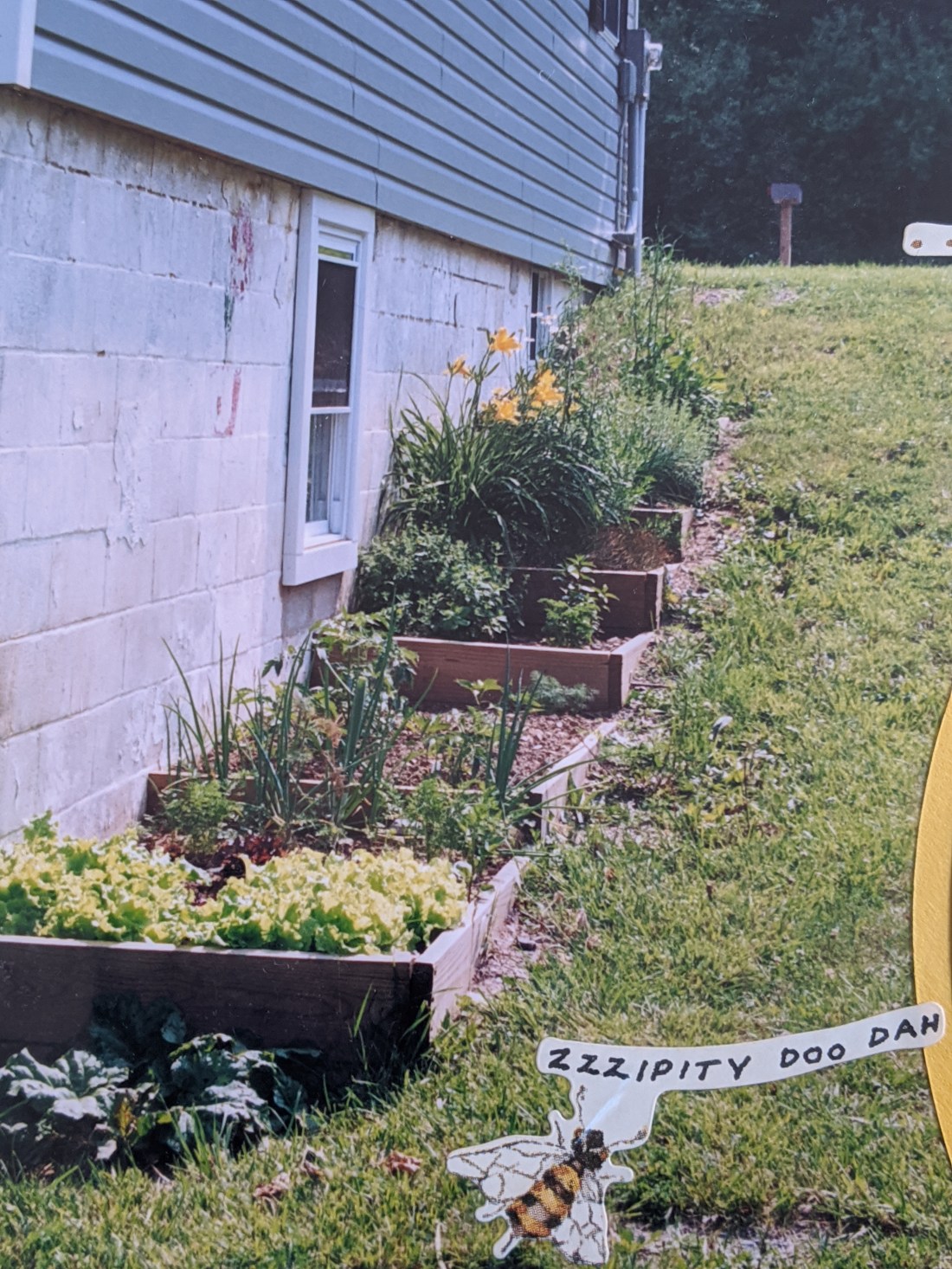 00000IMG_00000_BURST20200516131750823_COVER