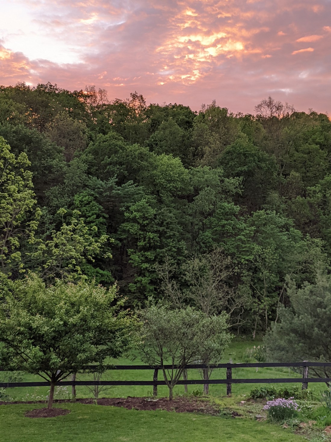 00000img_00000_burst20200528203437578_cover