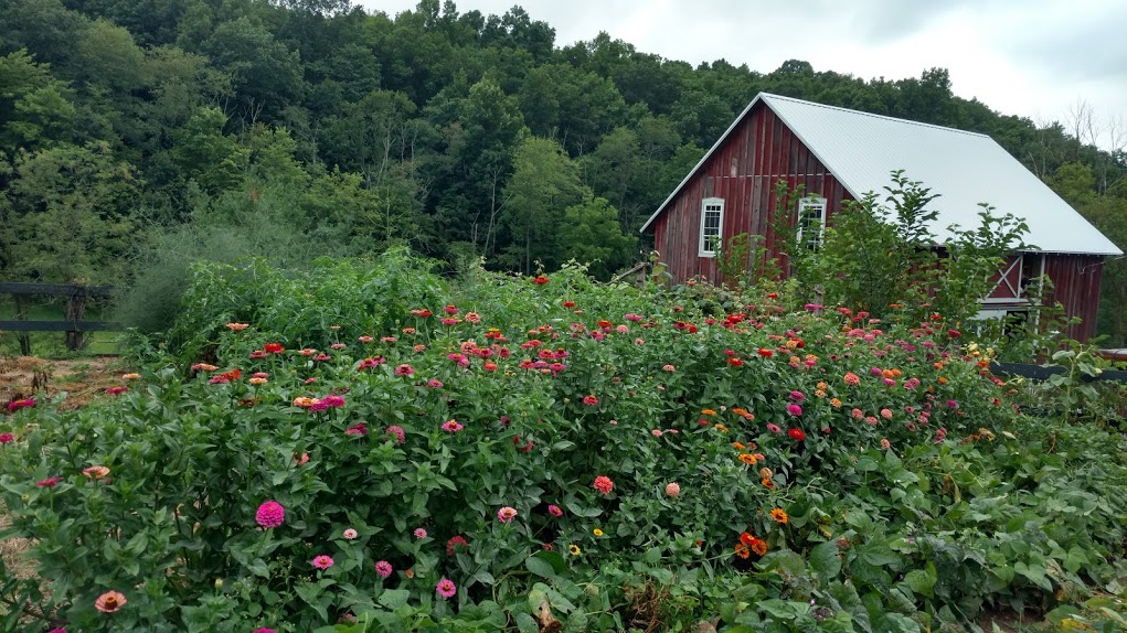 IMG_20190807_105156710_HDR