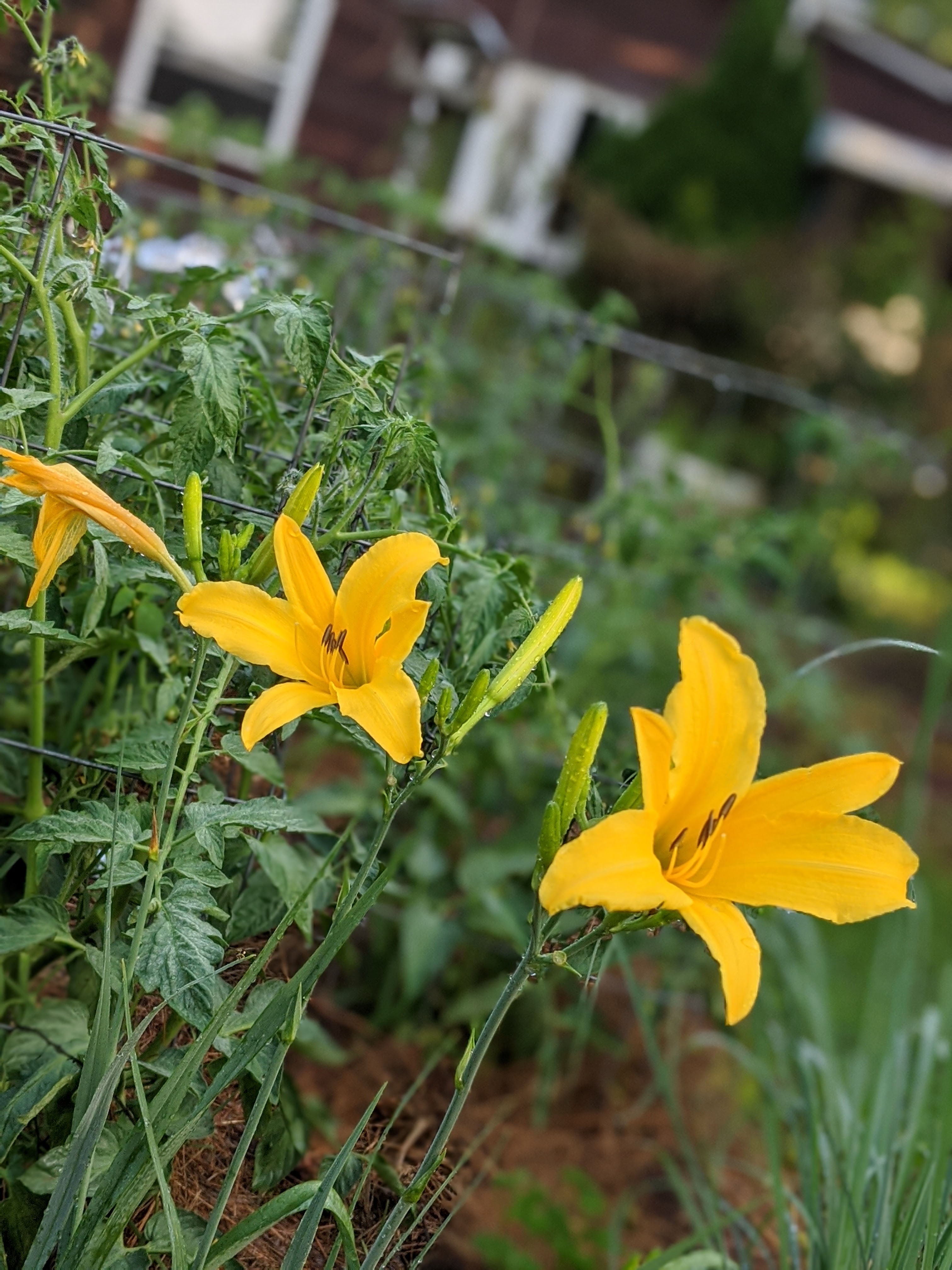 00100lrportrait_00100_burst20200717072152600_cover